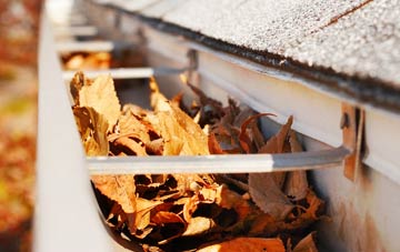 Lower Westholme gutter cleaning companies