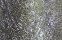 Lower Westholme fibreglass roof work